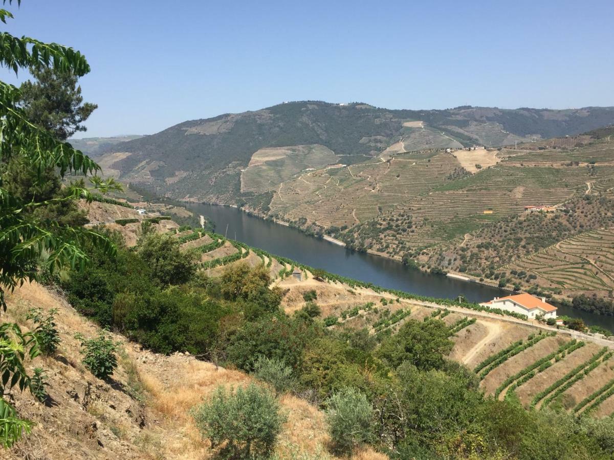 Hotel Refugio d'Anita Douro Valley House à Barcos Extérieur photo